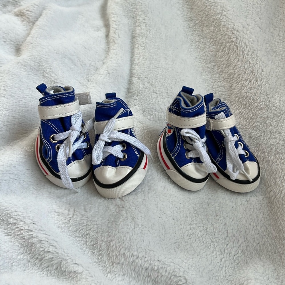 Toronto Blue Jays Dog Shoes, Size Medium, Converse Style
